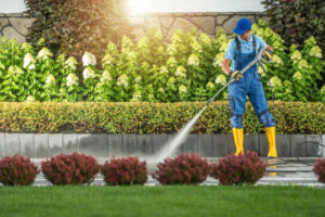 Pressure Washing Company in Surrey